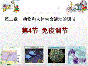 人教版高中生物必修三第二章—免疫调节-课件.ppt