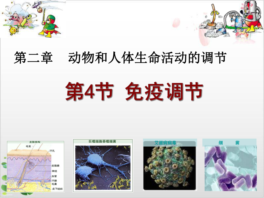 人教版高中生物必修三第二章—免疫调节-课件.ppt_第1页