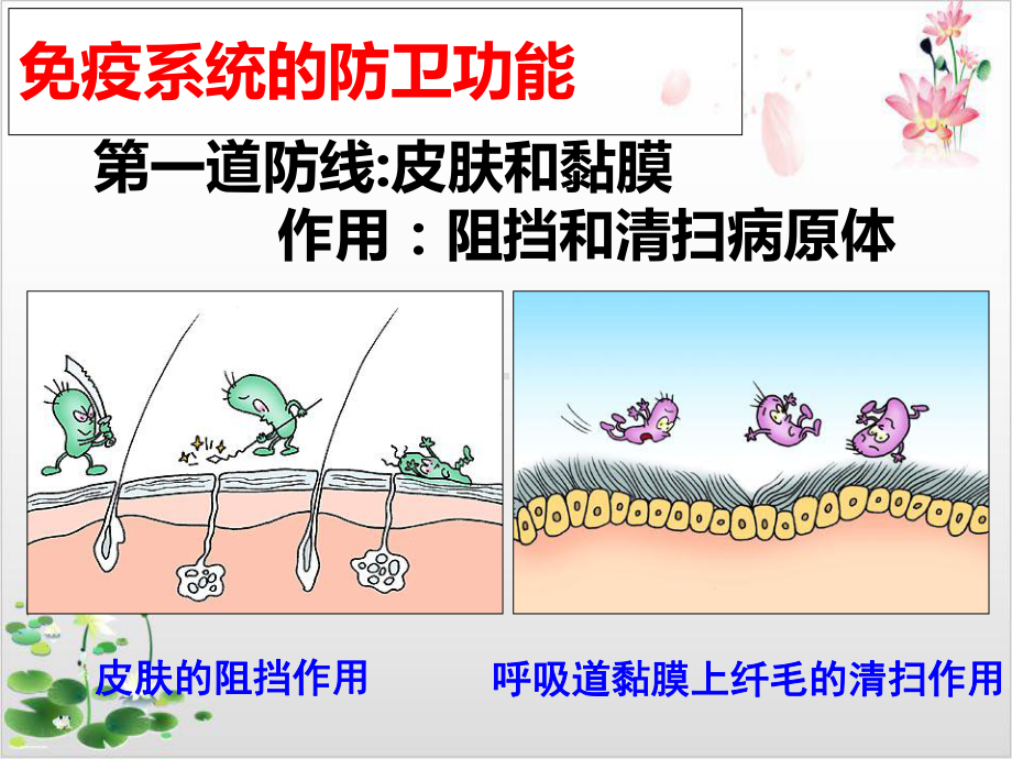 人教版高中生物必修三第二章—免疫调节-课件.ppt_第3页