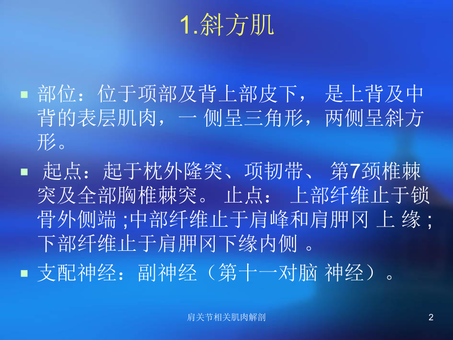 肩关节相关肌肉解剖课件.ppt_第2页