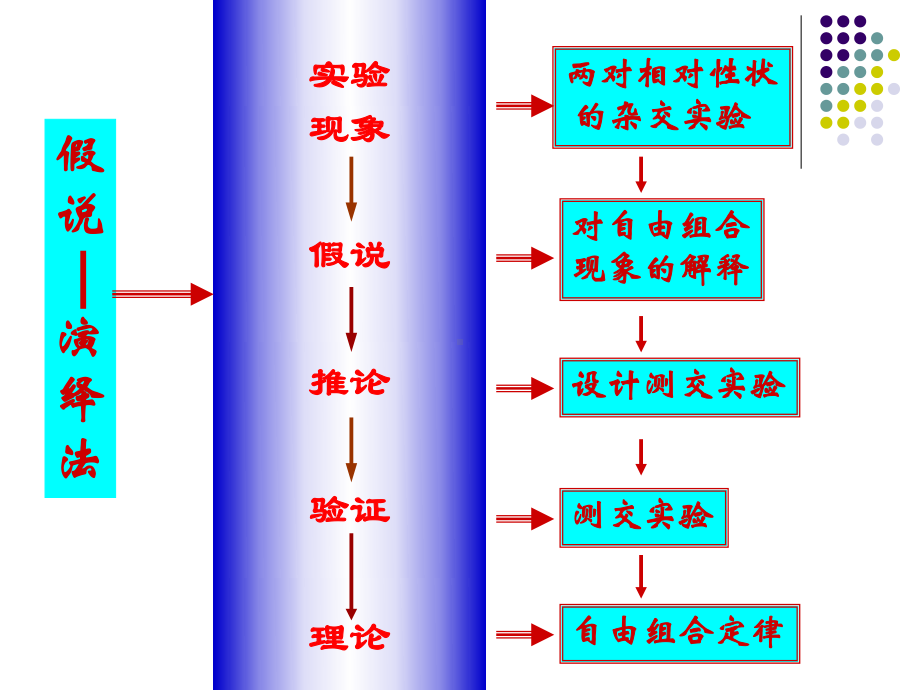 12-分离定律孟德尔的豌豆杂交实验(二)-新课标-人教版-必修2解析课件.ppt_第2页