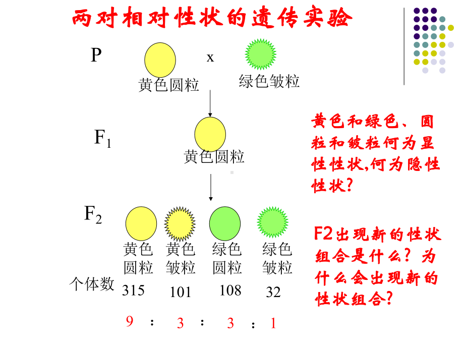 12-分离定律孟德尔的豌豆杂交实验(二)-新课标-人教版-必修2解析课件.ppt_第3页