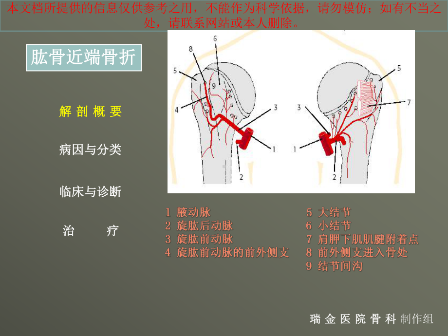 肱骨近端骨折主题讲座培训课件.ppt_第2页