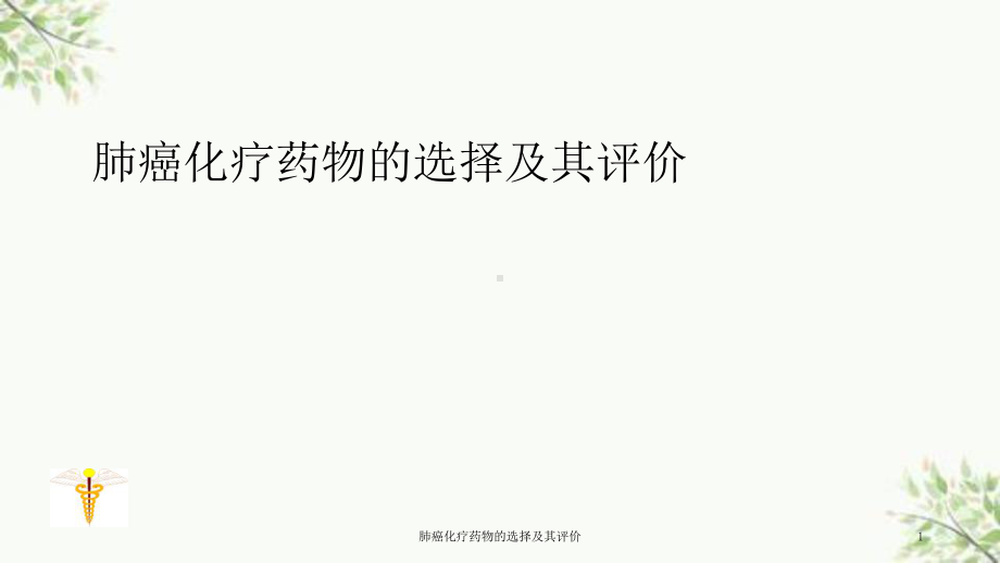 肺癌化疗药物的选择及其评价课件.ppt_第1页