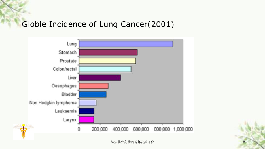 肺癌化疗药物的选择及其评价课件.ppt_第2页