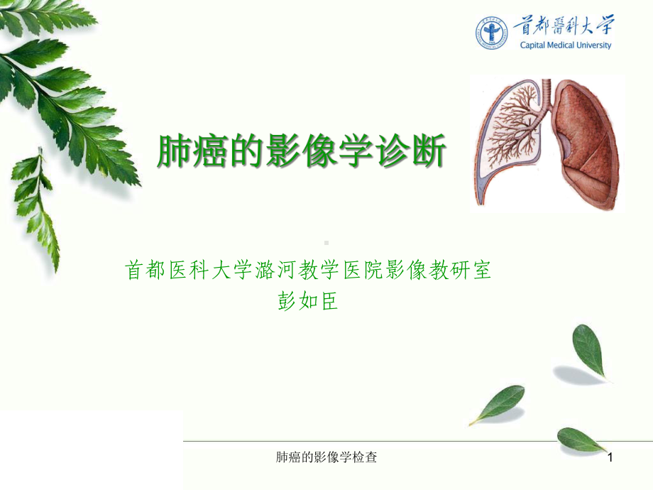 肺癌的影像学检查课件.ppt_第1页