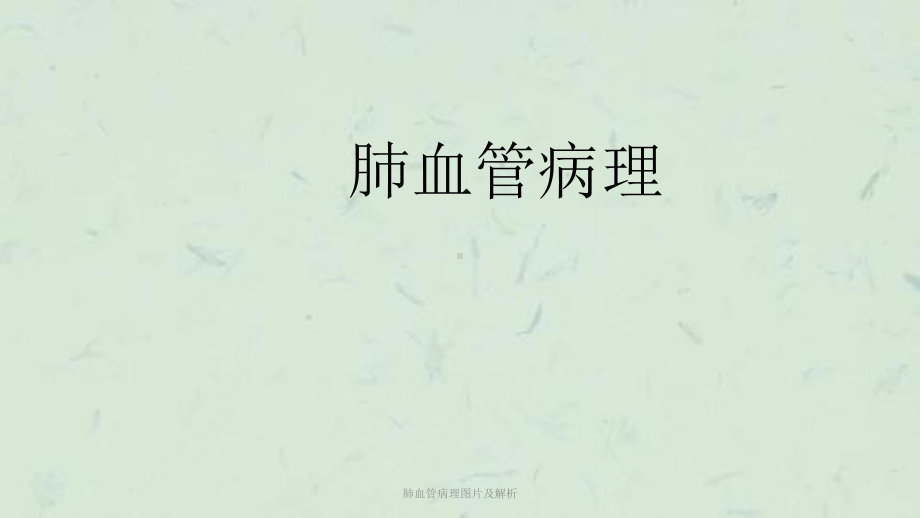 肺血管病理图片及解析课件.ppt_第1页