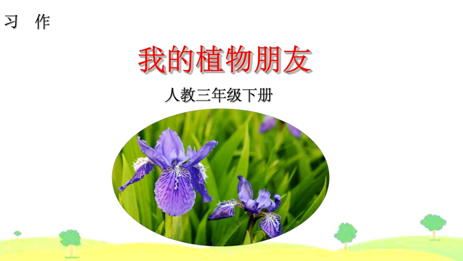 习作-我的植物朋友-课件.ppt_第1页