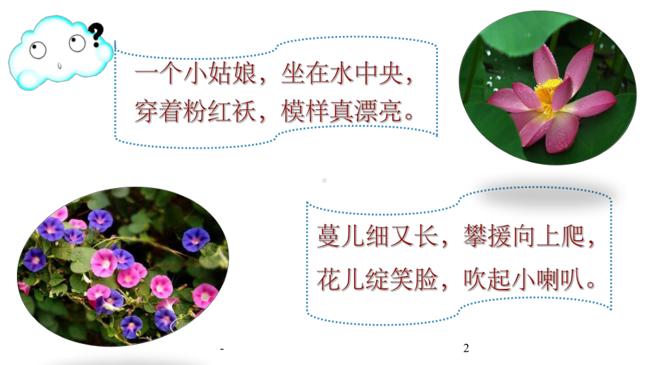 习作-我的植物朋友-课件.ppt_第2页