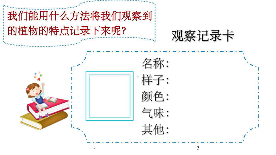 习作-我的植物朋友-课件.ppt_第3页