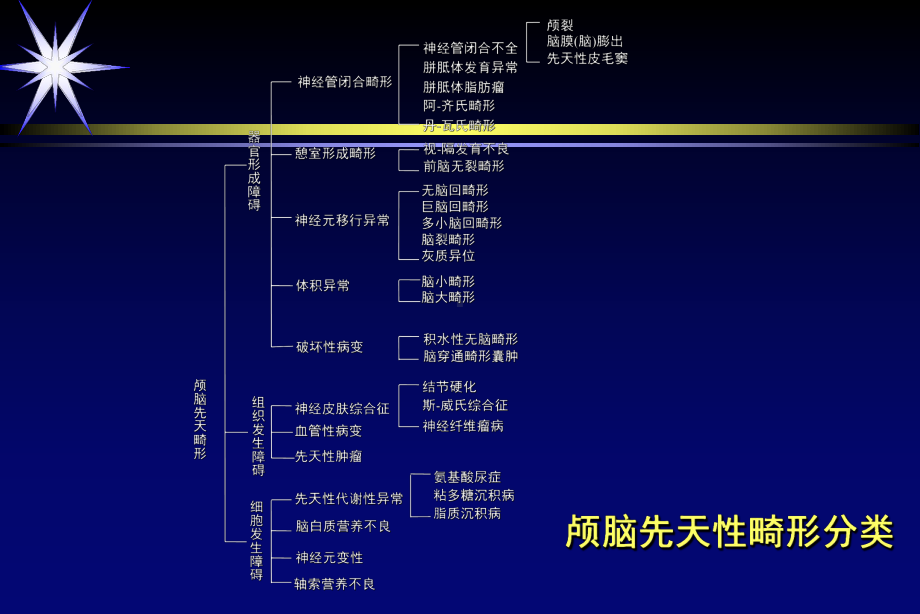 中枢神经系统-畸形或发育异常课件.ppt_第3页