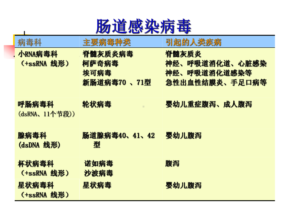 肠道急性胃肠炎病毒课件.ppt_第2页