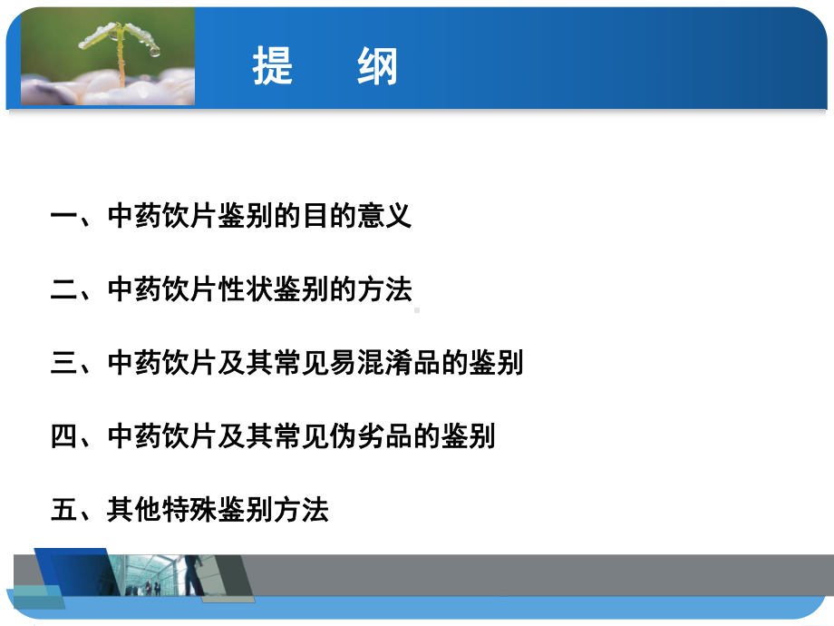 中药饮片的性状鉴别课件.ppt_第2页