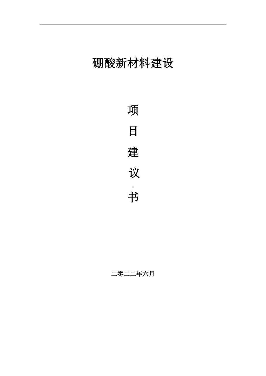 硼酸新材料项目建议书（写作模板）.doc_第1页