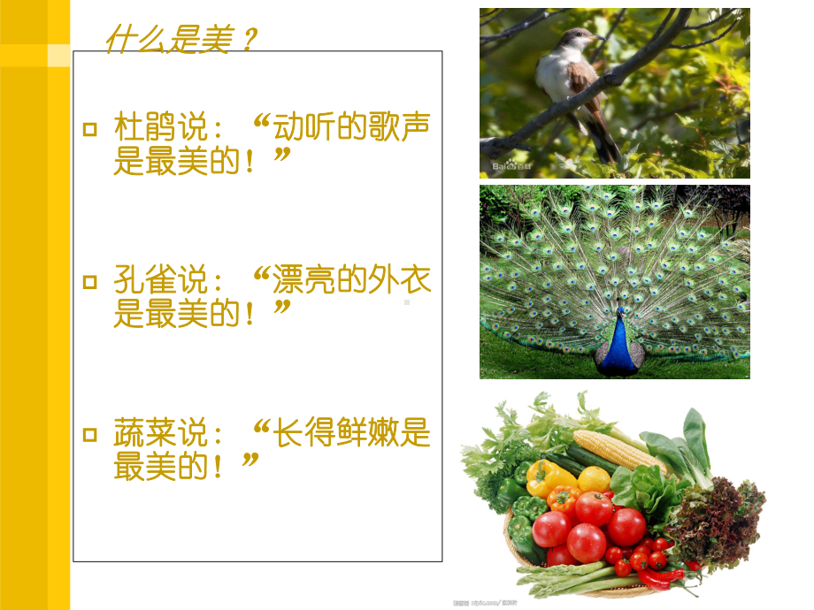 中学生的美课件.ppt_第3页