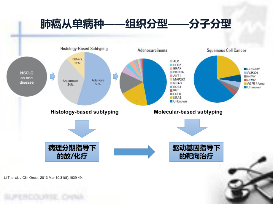 肺癌精准医学课件.pptx_第2页