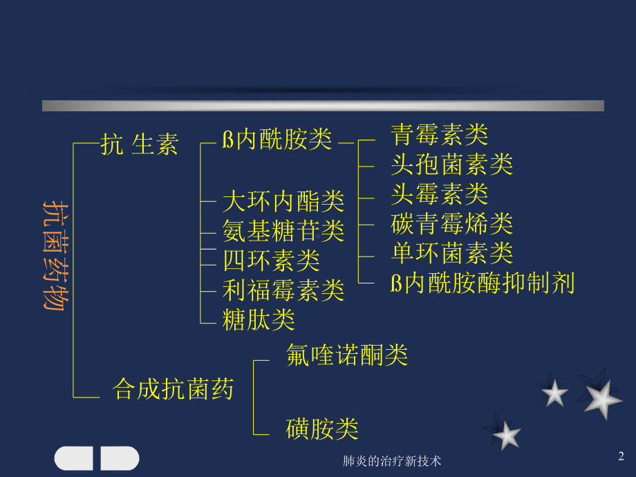 肺炎的治疗新技术课件.ppt_第2页