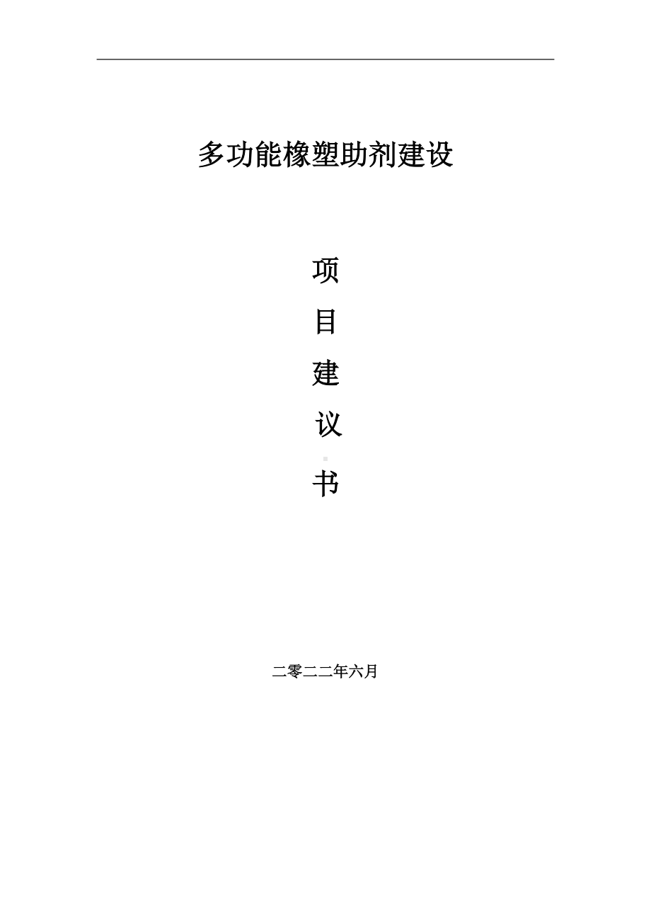 多功能橡塑助剂项目建议书（写作模板）.doc_第1页