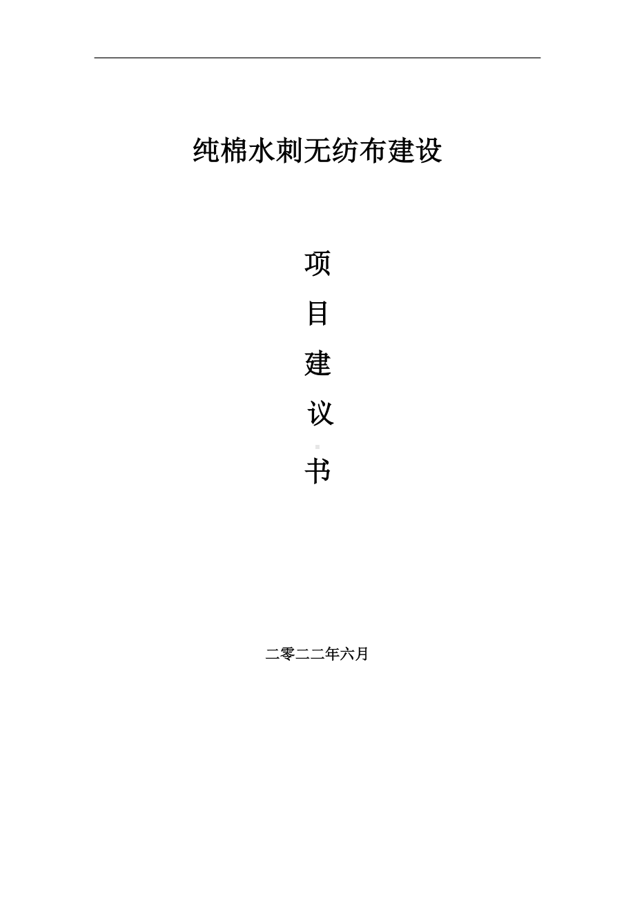 纯棉水刺无纺布项目建议书（写作模板）.doc_第1页