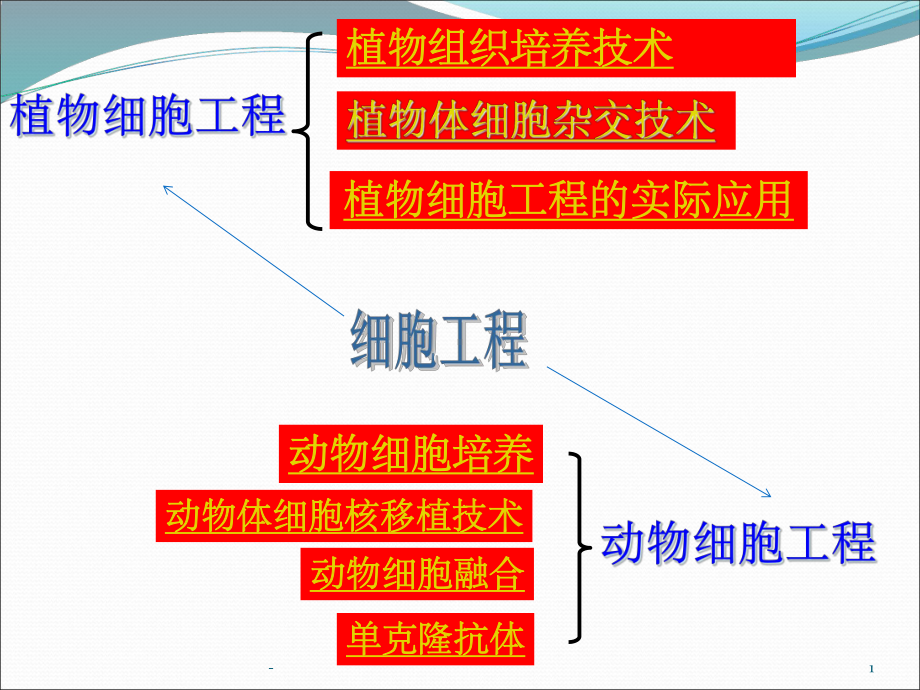 专题二细胞工程思维导图课件.ppt_第1页