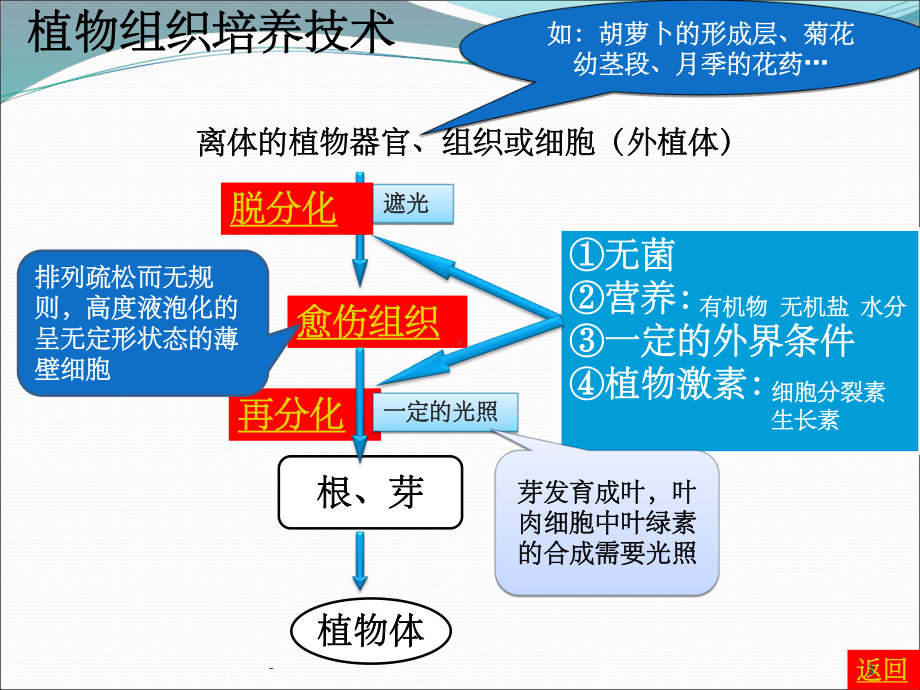 专题二细胞工程思维导图课件.ppt_第3页