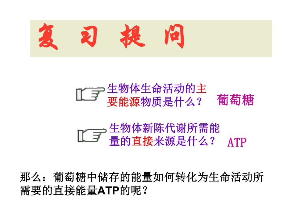 《ATP的主要来源-细胞呼吸》课件(新人教必修1).ppt_第2页