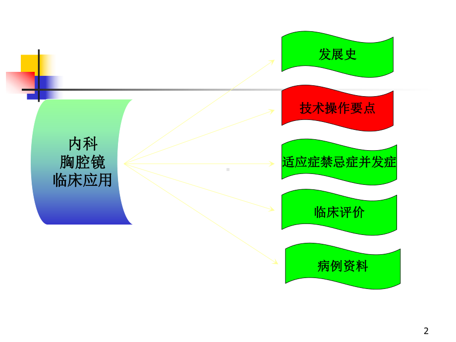 内科胸腔镜课件.ppt_第2页