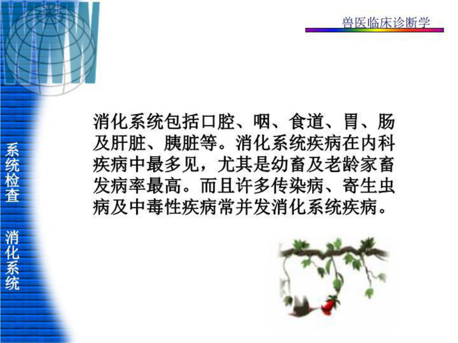 兽医临床诊断技术-消化系统的检查-课件.ppt_第2页