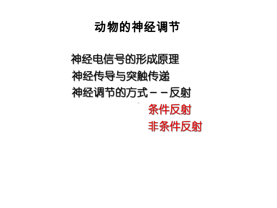 动物的神经调节解答课件.ppt_第1页