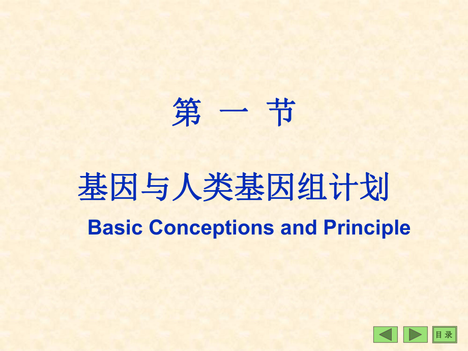 医学课件-基因结构与基因表达调控.ppt_第2页