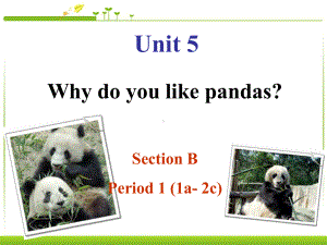 《Why-do-you-like-pandas》优选公开课件5.ppt