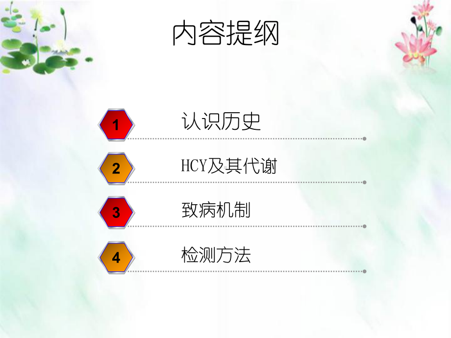 同型半胱氨酸的临床应用课件.ppt_第2页