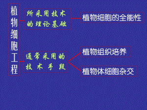 动物细胞工程[下学期]新人教版课件.ppt