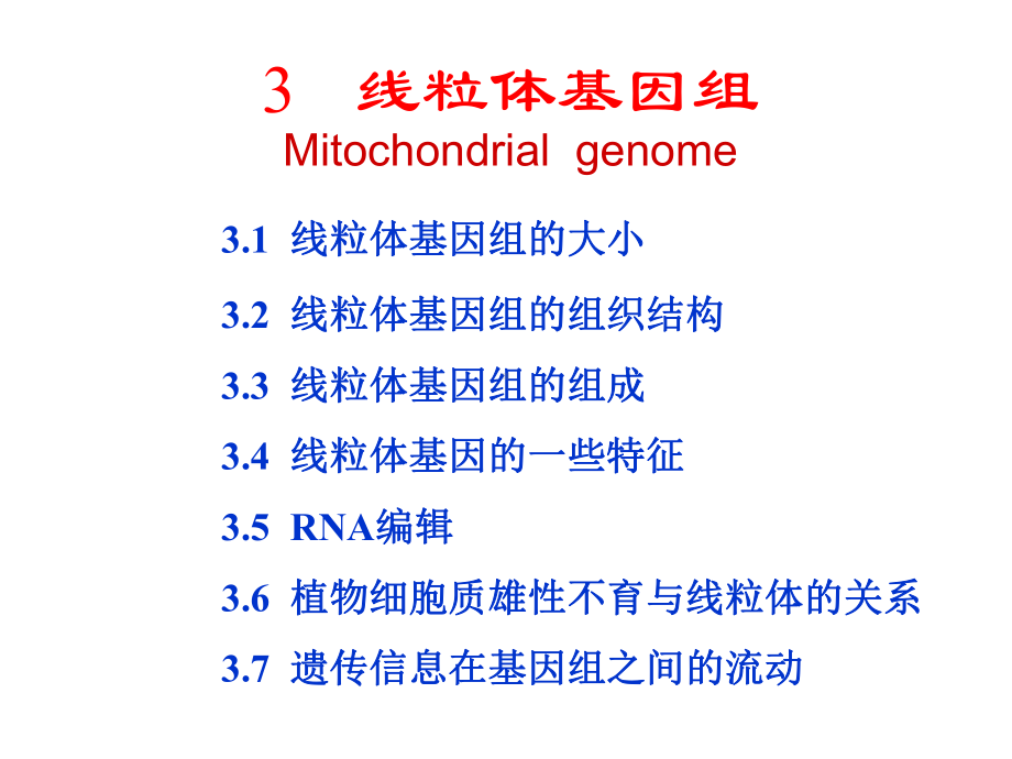 分子生物学第03章线粒体基因组课件.ppt_第1页