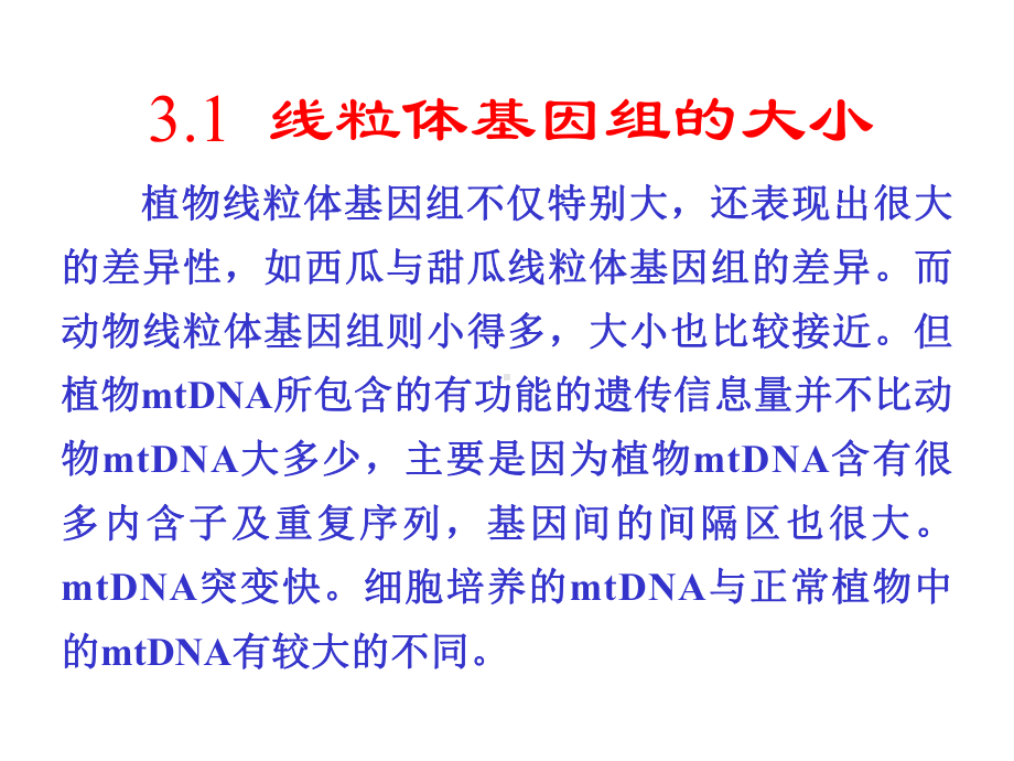 分子生物学第03章线粒体基因组课件.ppt_第2页