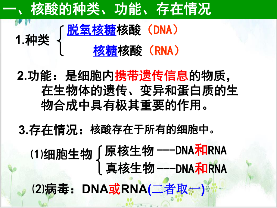 人教版高中生物必修一课件-遗传信息的携带者-核酸-优秀课件.ppt_第3页