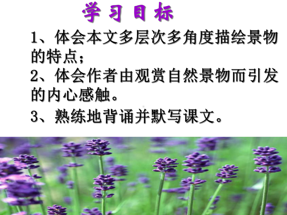 与朱元思书公开课优秀课件.ppt_第2页