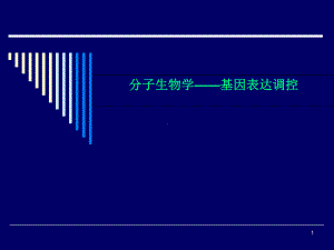 分子生物学-基因表达调控课件.ppt