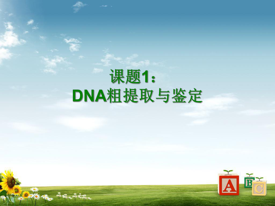 （人教版）生物选修一：5-1《DNA的粗提取与鉴定》课件.ppt_第2页