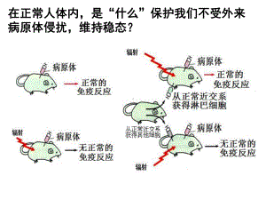 《免疫系统》课件.ppt