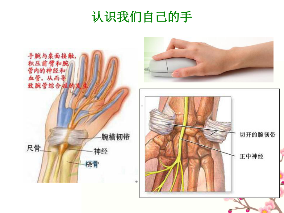 办公室工作人员的健康防护课件.ppt_第3页