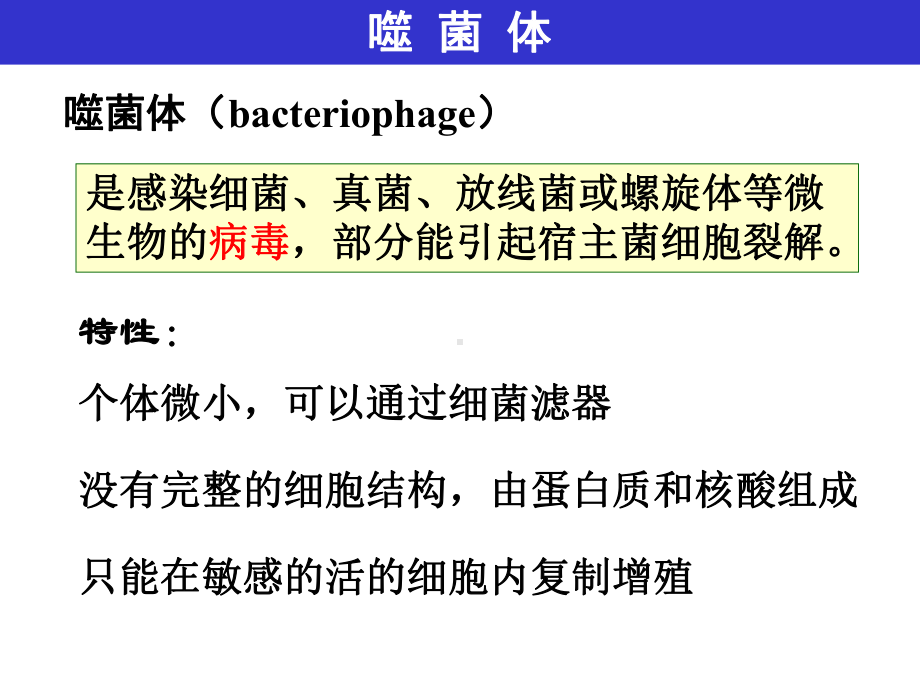 医学微生物学课件：噬菌体.ppt_第2页