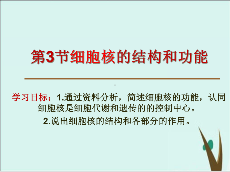 《细胞核的结构和功能》人教版高中生物教用课件1.ppt_第3页