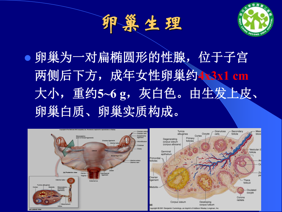 卵巢肿块的超声诊断课件.ppt_第2页