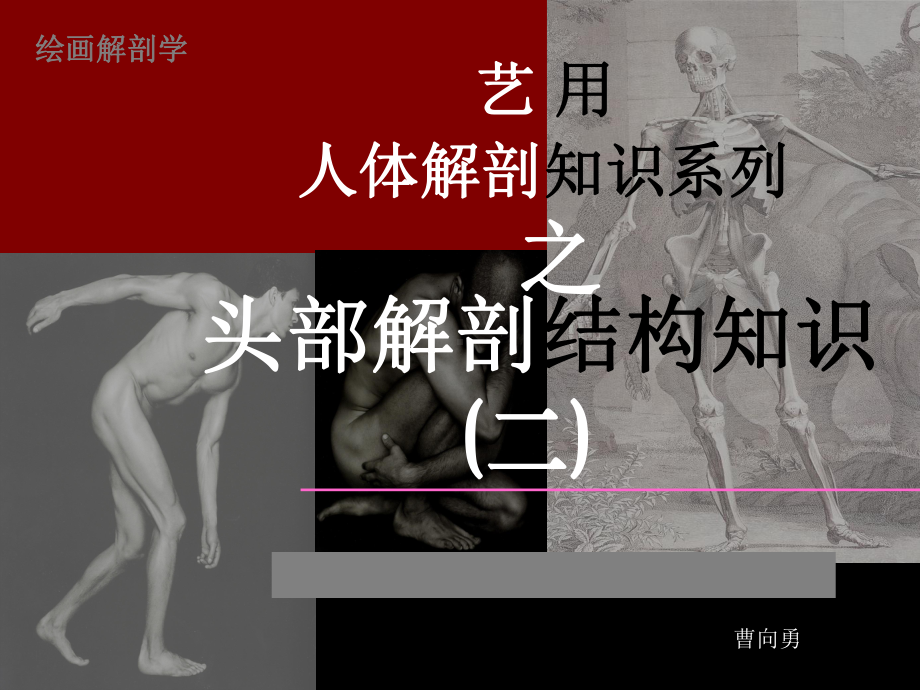 头部解剖结构-课件.ppt_第3页