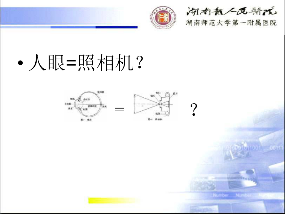 医学-眼视光与常见眼病课件.ppt_第3页