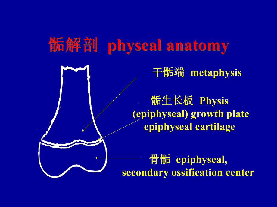 《小儿骨骺损伤》课件.ppt_第3页