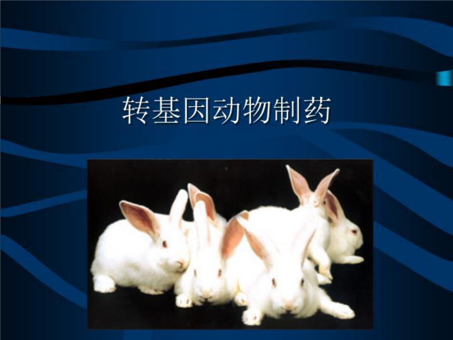 《转基因动物制药》课件.ppt_第1页