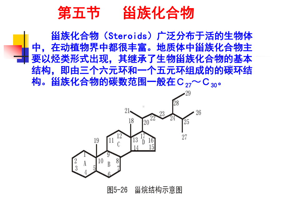 地球化学-第四章生物标志物课件3.ppt_第1页