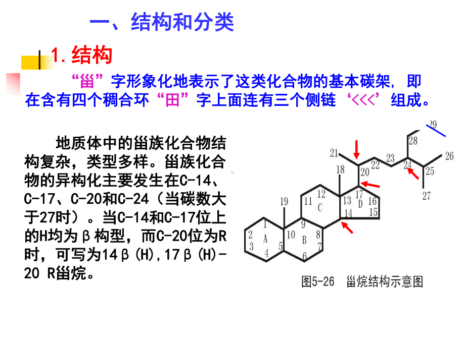 地球化学-第四章生物标志物课件3.ppt_第2页